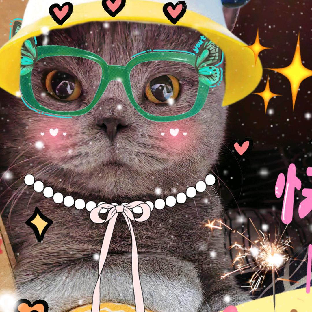 吉祥如意一家🥰