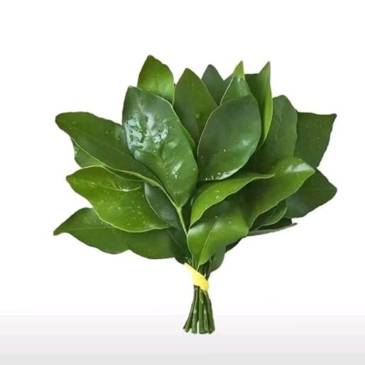 思思