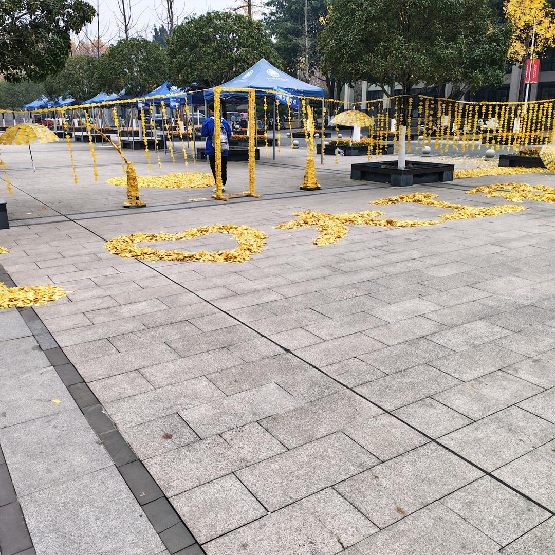 叫我游哥