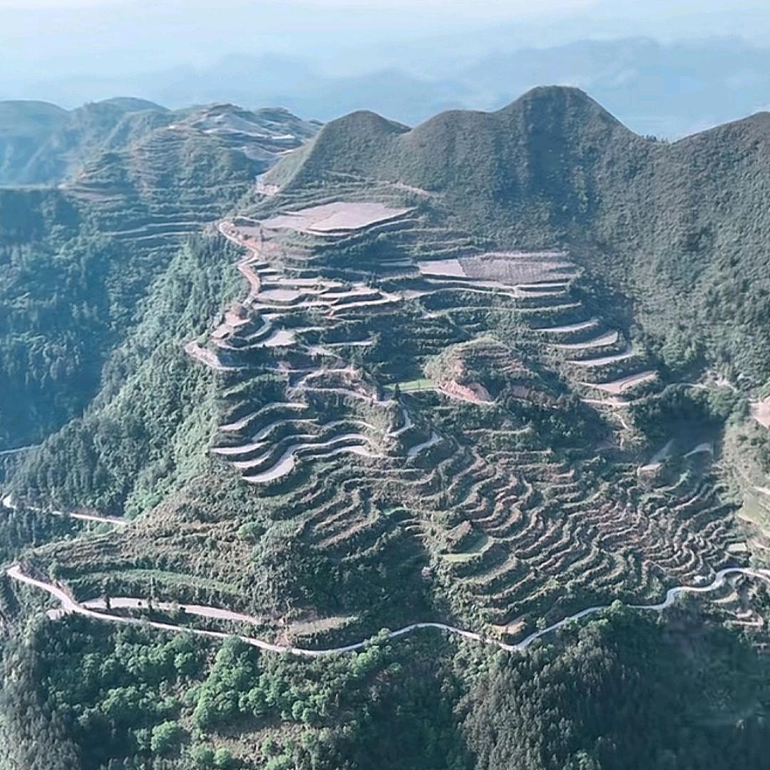 群星