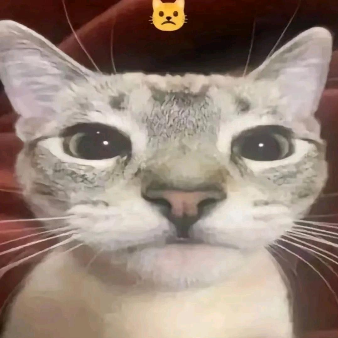 lupa