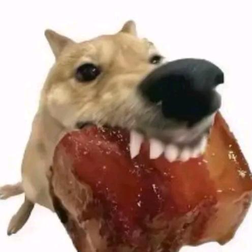 小狗把你的红烧肉叼走了