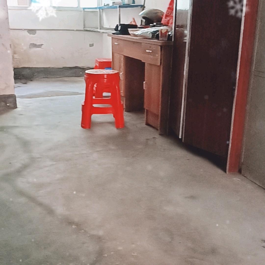 随心所欲🇨🇳