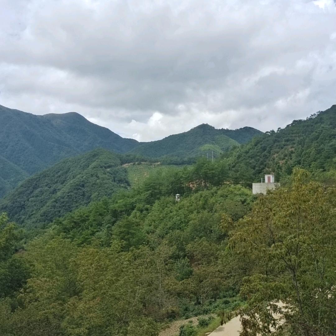 童如
