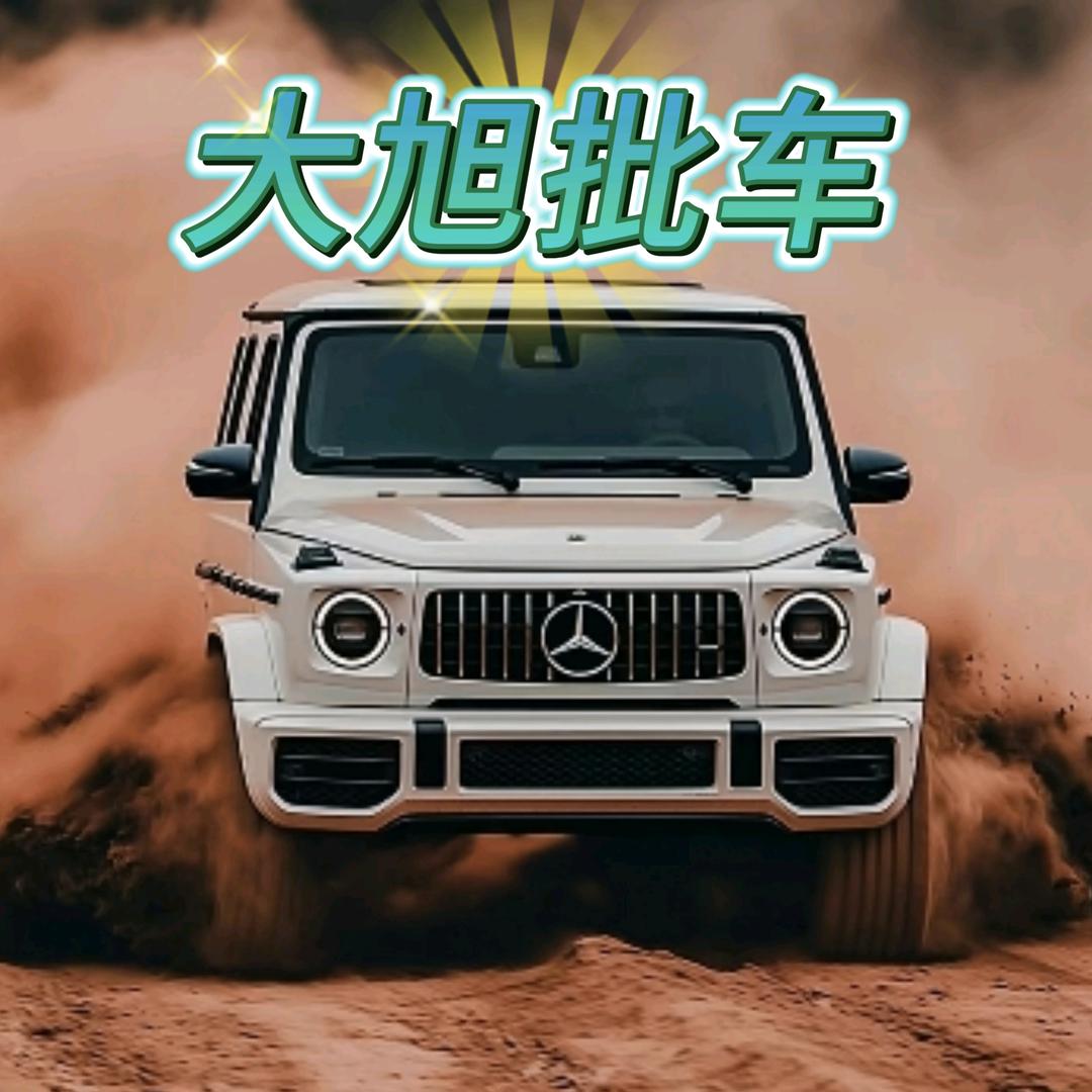旭弟儿说车（过户车）