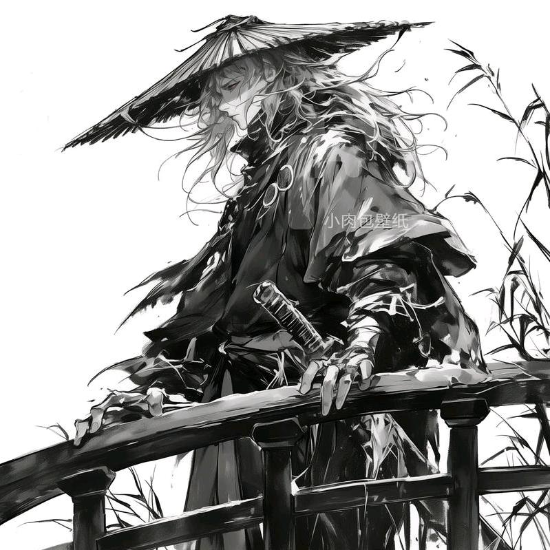 剑影江湖-华风