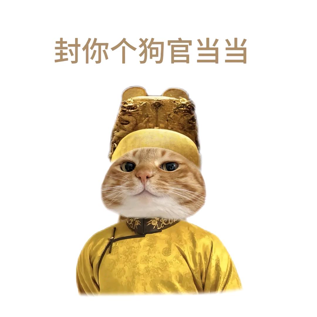 九六🍬