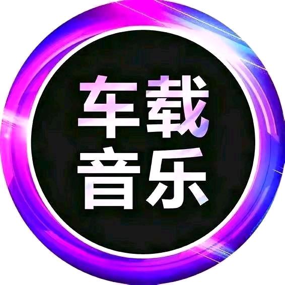 车载DJ