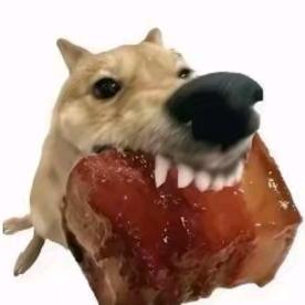 每一天