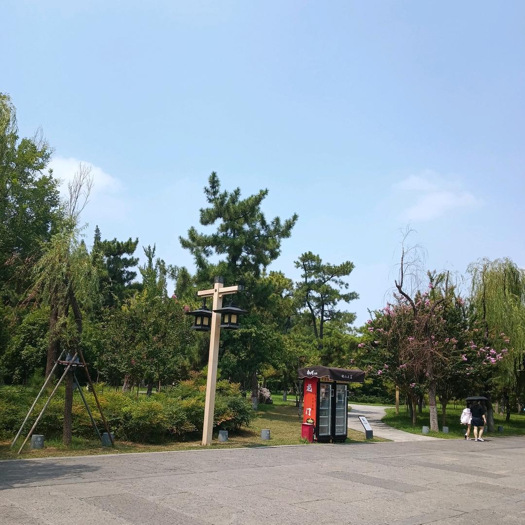 美好的未来