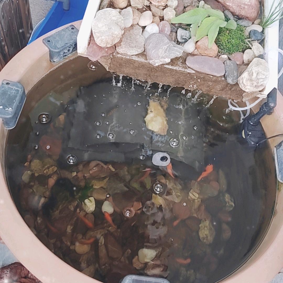 聆听大自然