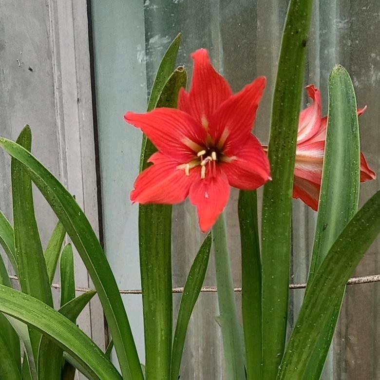 花好月更圆（有赞必回,拒和拍，拒私聊)