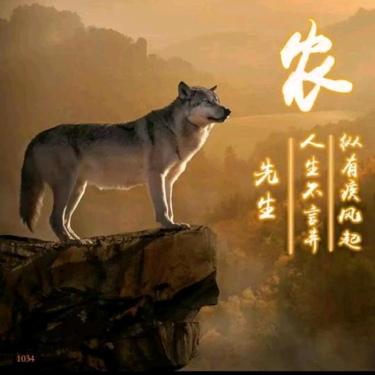 与君同行