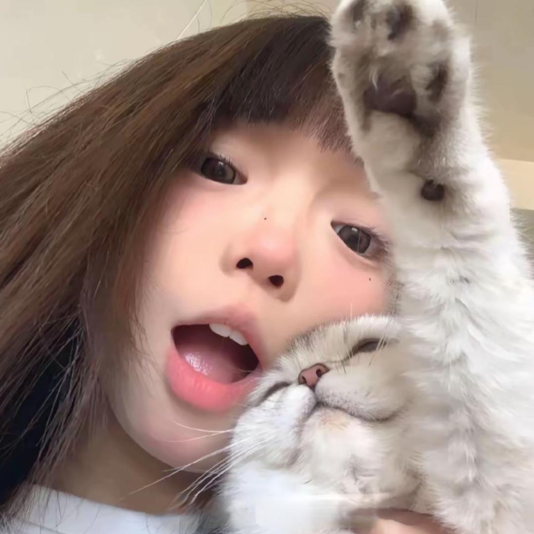 奥特曼的小推车