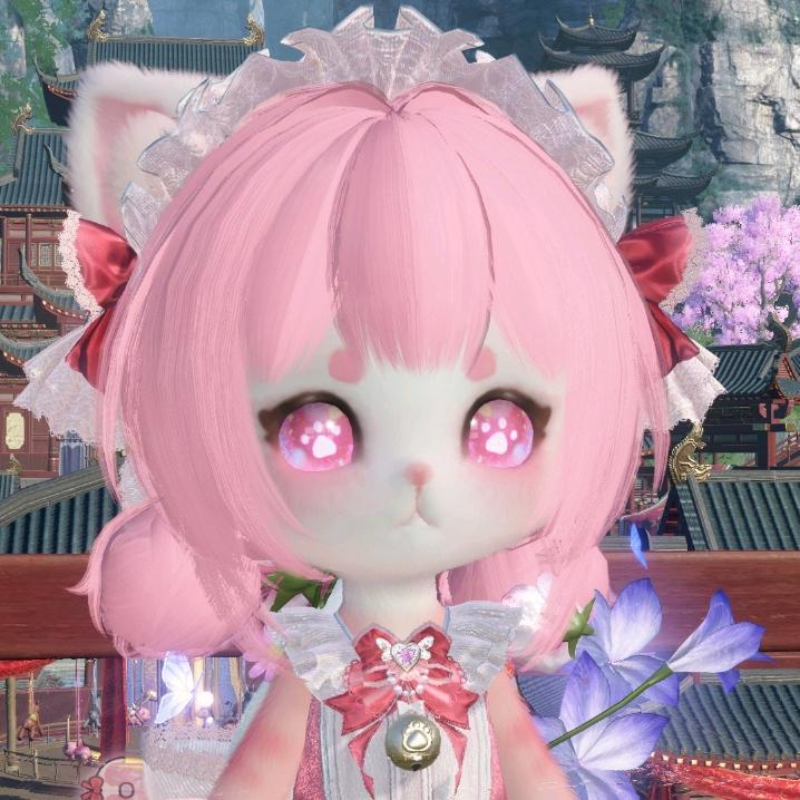 暴雨梨花猫