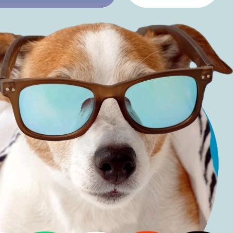 不吹牛的豆+国服咬金