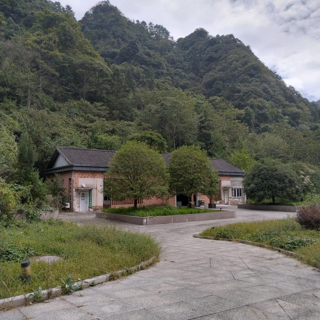 贞丰本地送美邻