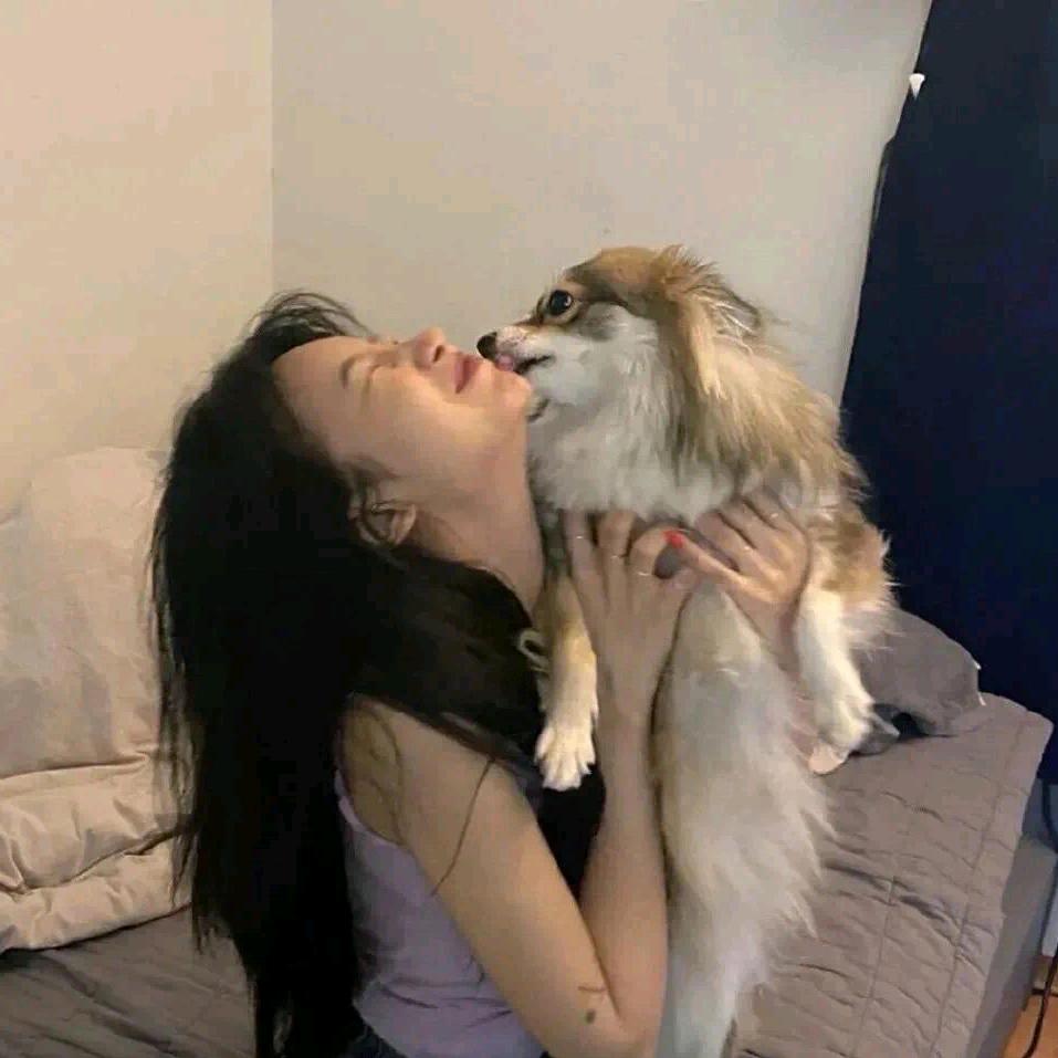 一片海投资有限公司老叶
