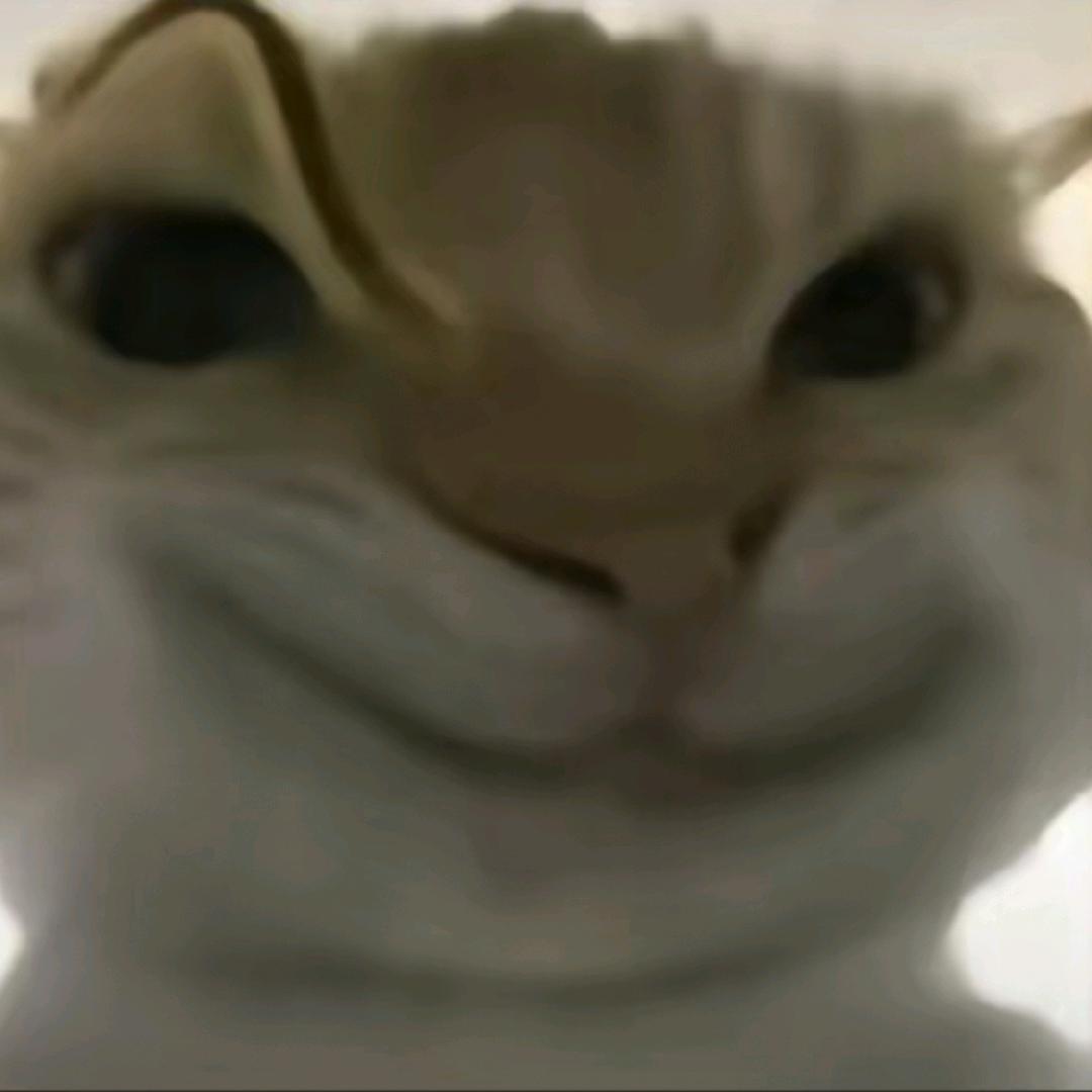 TG永远血赚