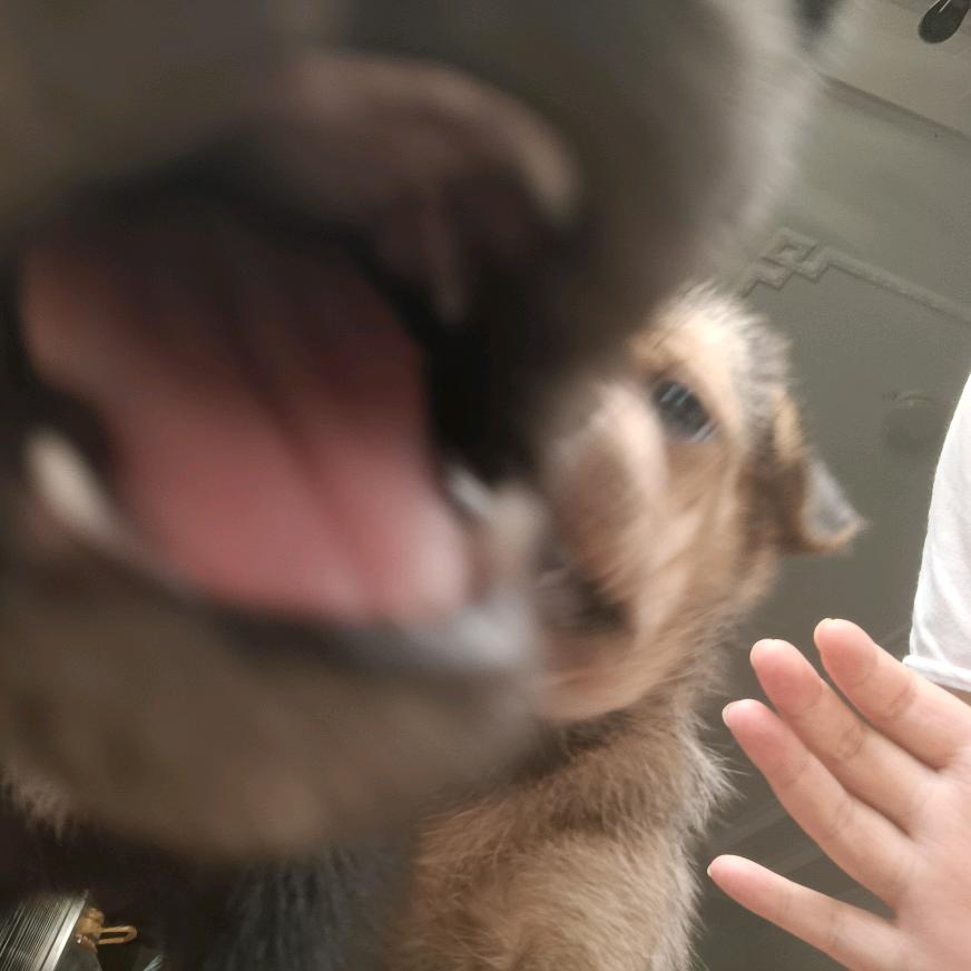 高速运转的机器