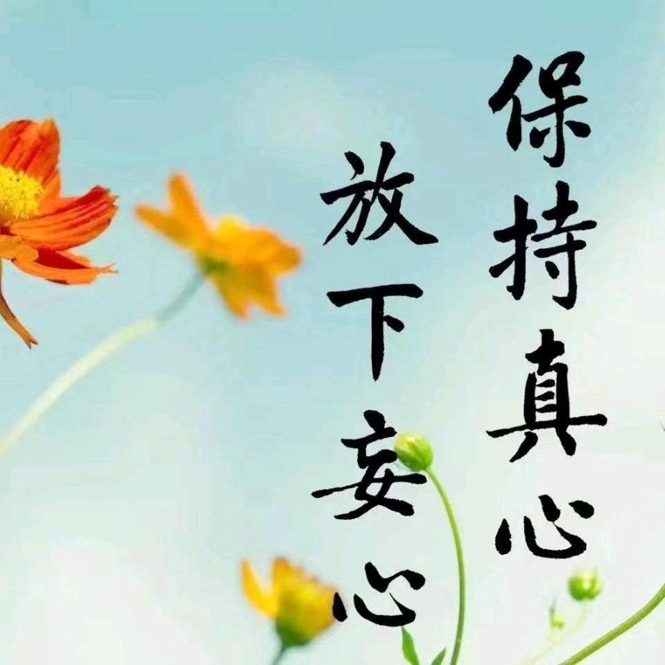 ✧٩(ˊωˋ*)و✧心灵_驿站☆☆