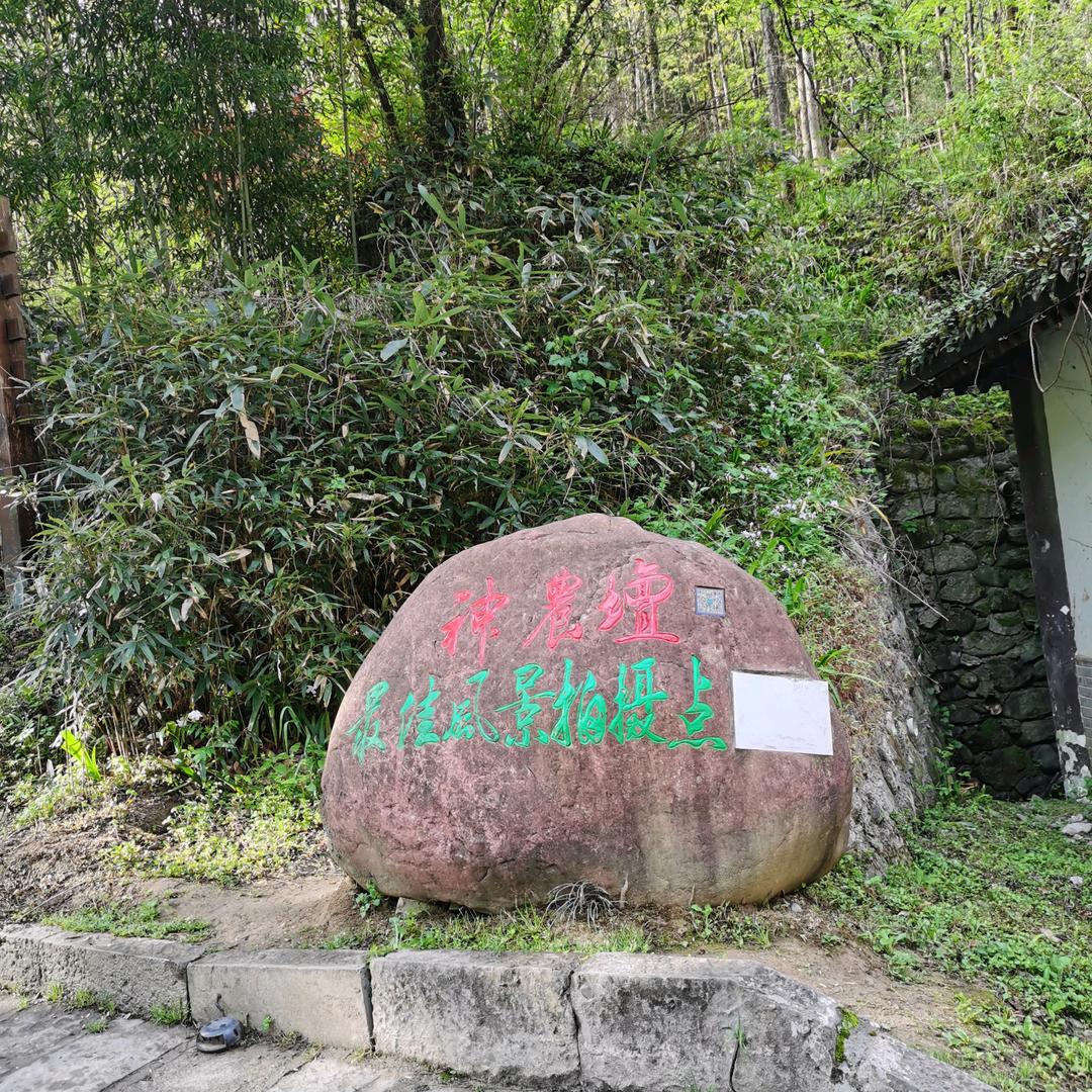 春光明媚