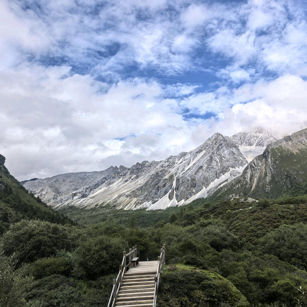 枫9