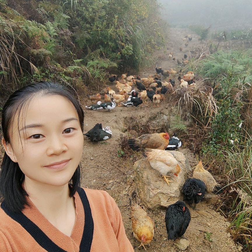 高峰农场小茉莉