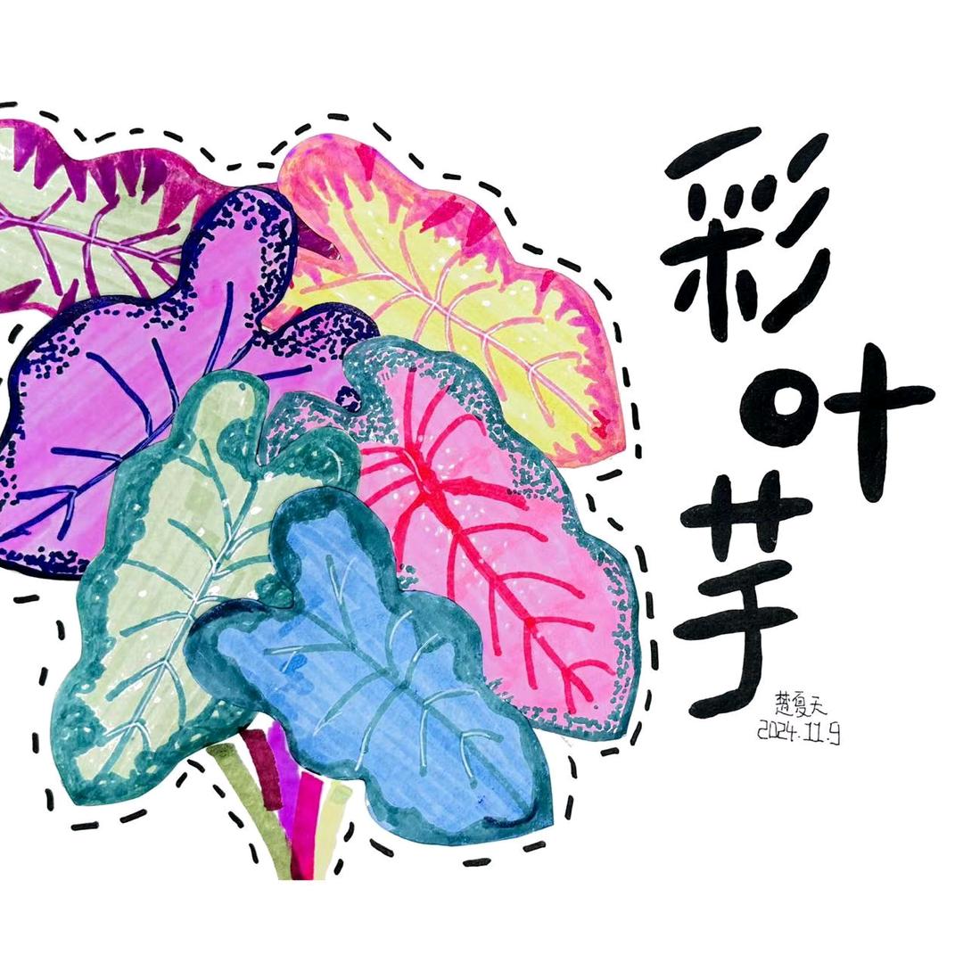 郏老师（有关必回）