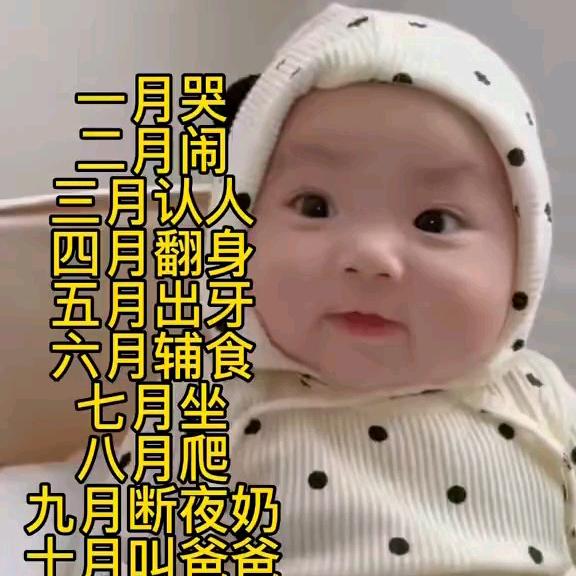 泡茶鱼（美满）