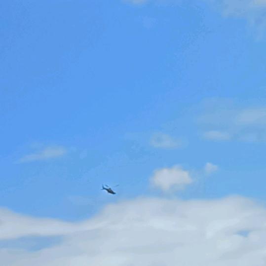 墨墨•᷄ࡇ•᷅