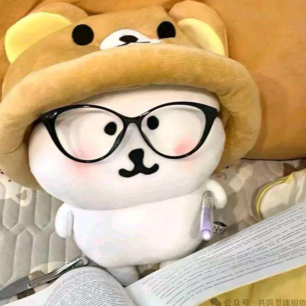 苏黎世的从前·