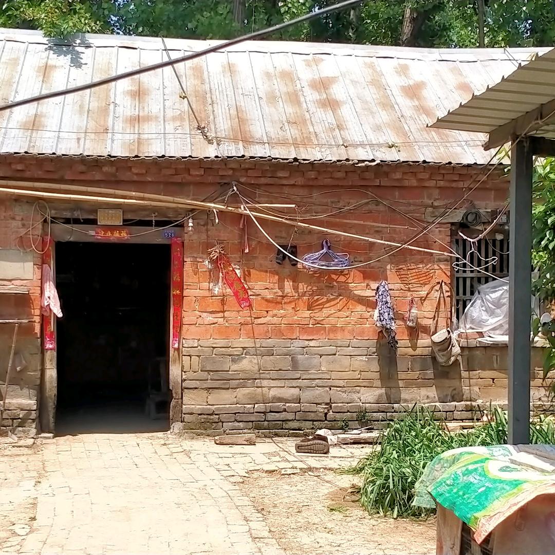 我是卖泡沫箱肠粉🤪🤪