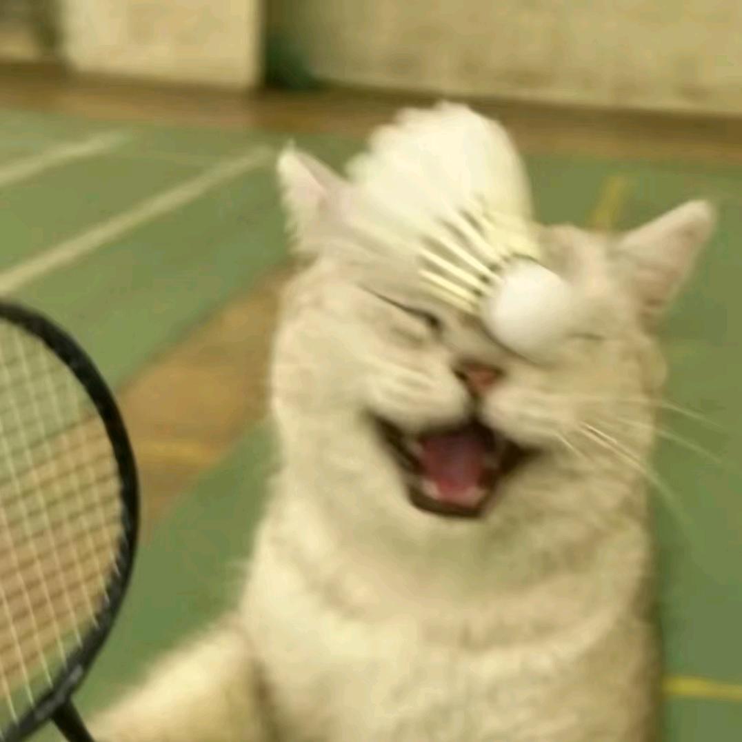 南陈