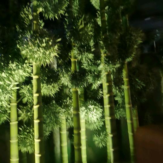 旅游梦想成真🎧ᵀᴶ˙ˣᵀ