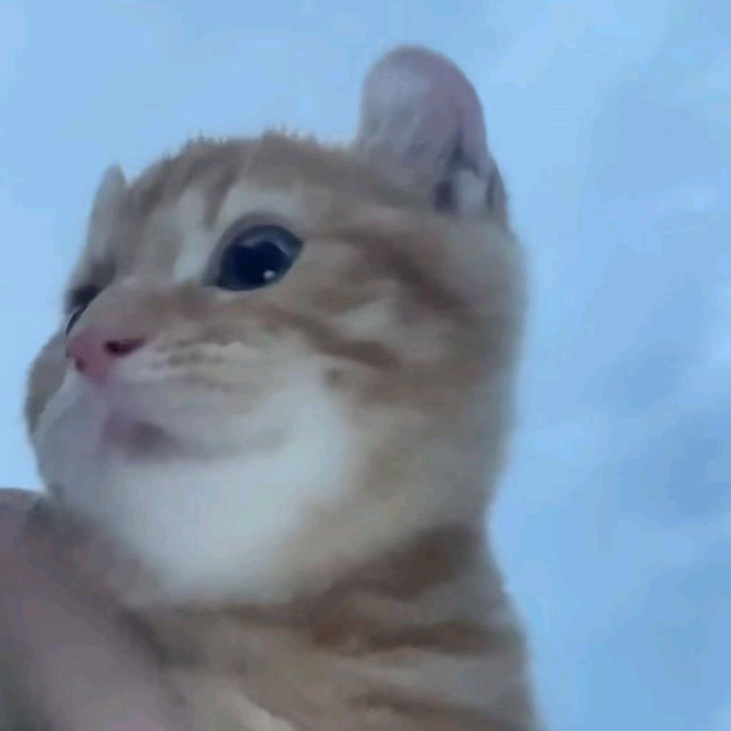 阿凯王子
