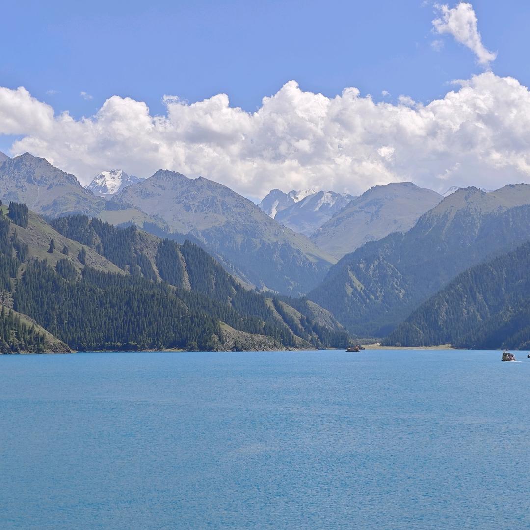 金豆豆🍭🟡🏝️