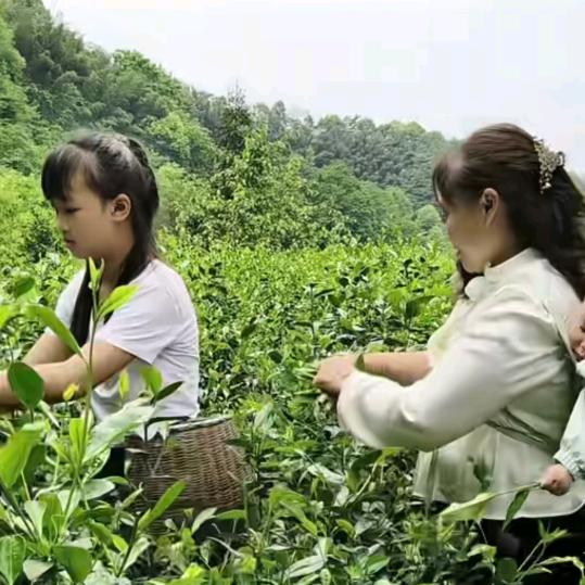 妹妹好物分享