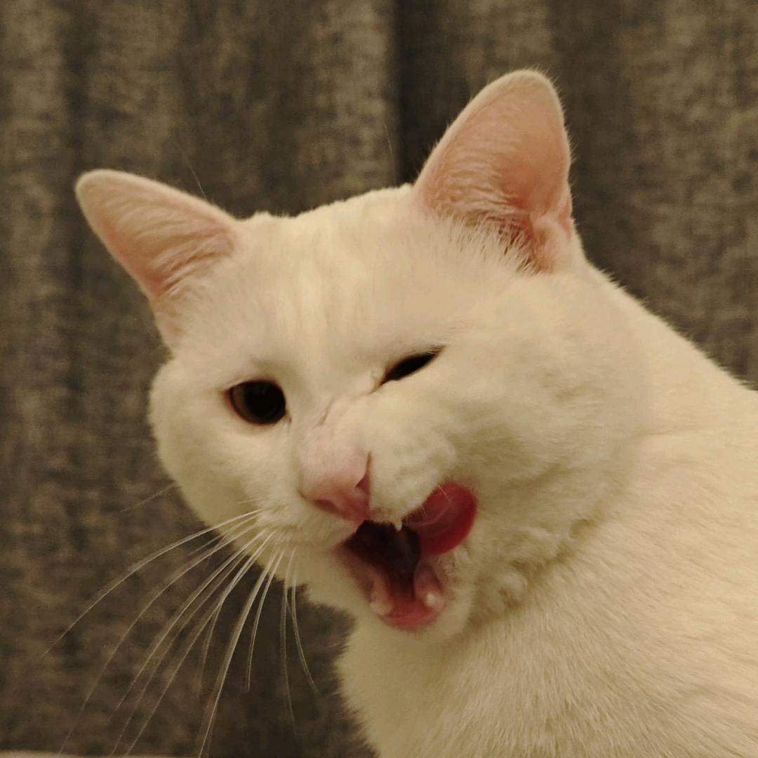 兆兆