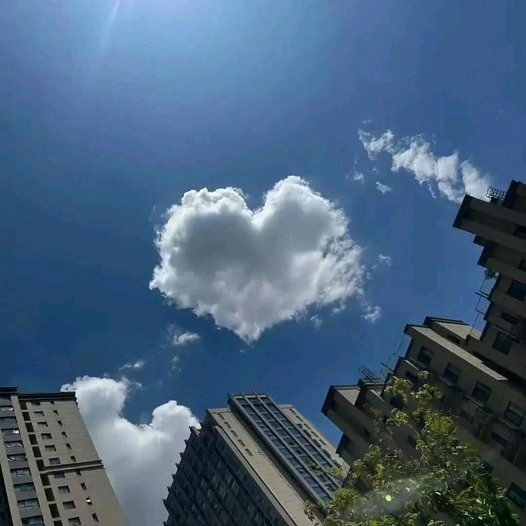 卷帘门消音带批发