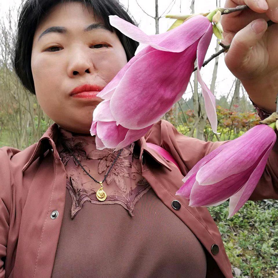 何虹姐