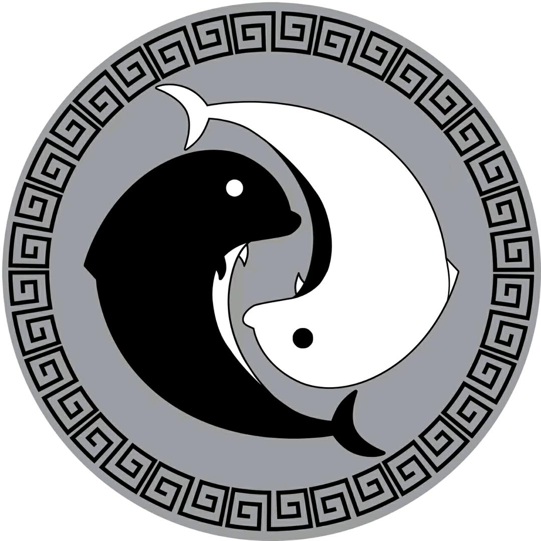 恒智