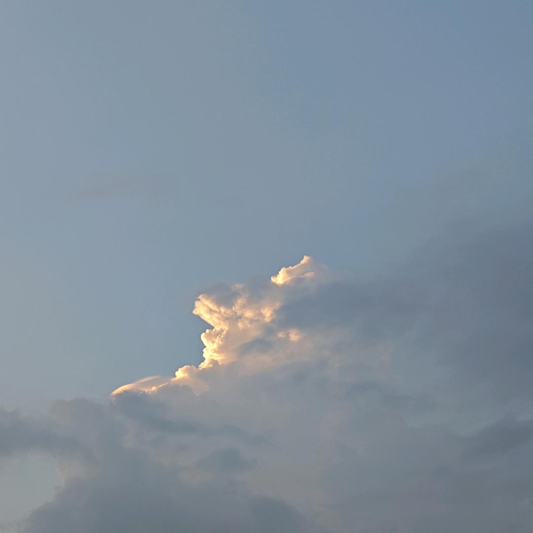鸿明呐
