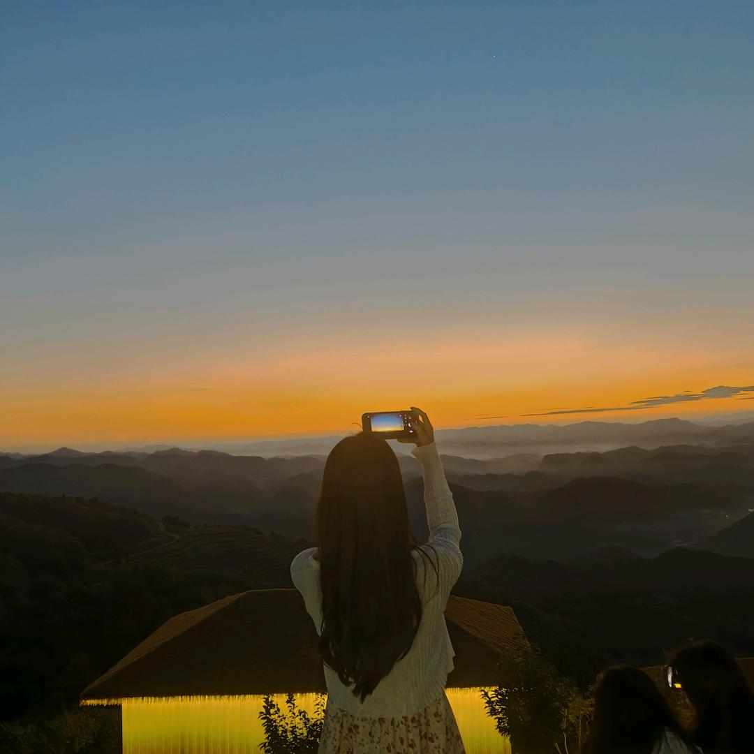 莲姐☘️🌻