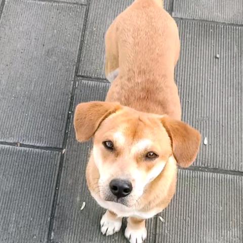 灵感谷