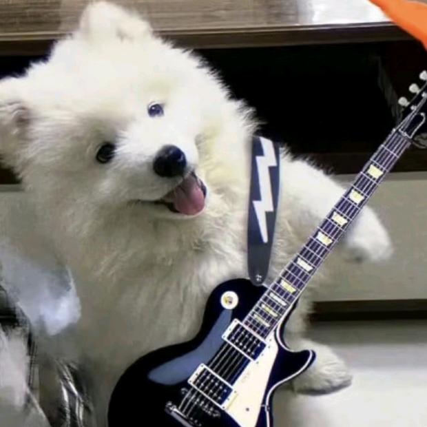 Sweet_t
