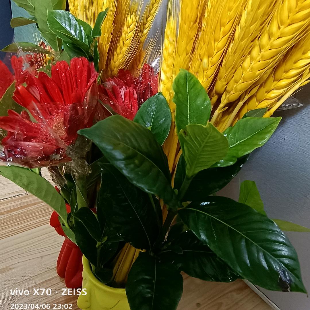 🍎顶艺视觉美容美发🍊