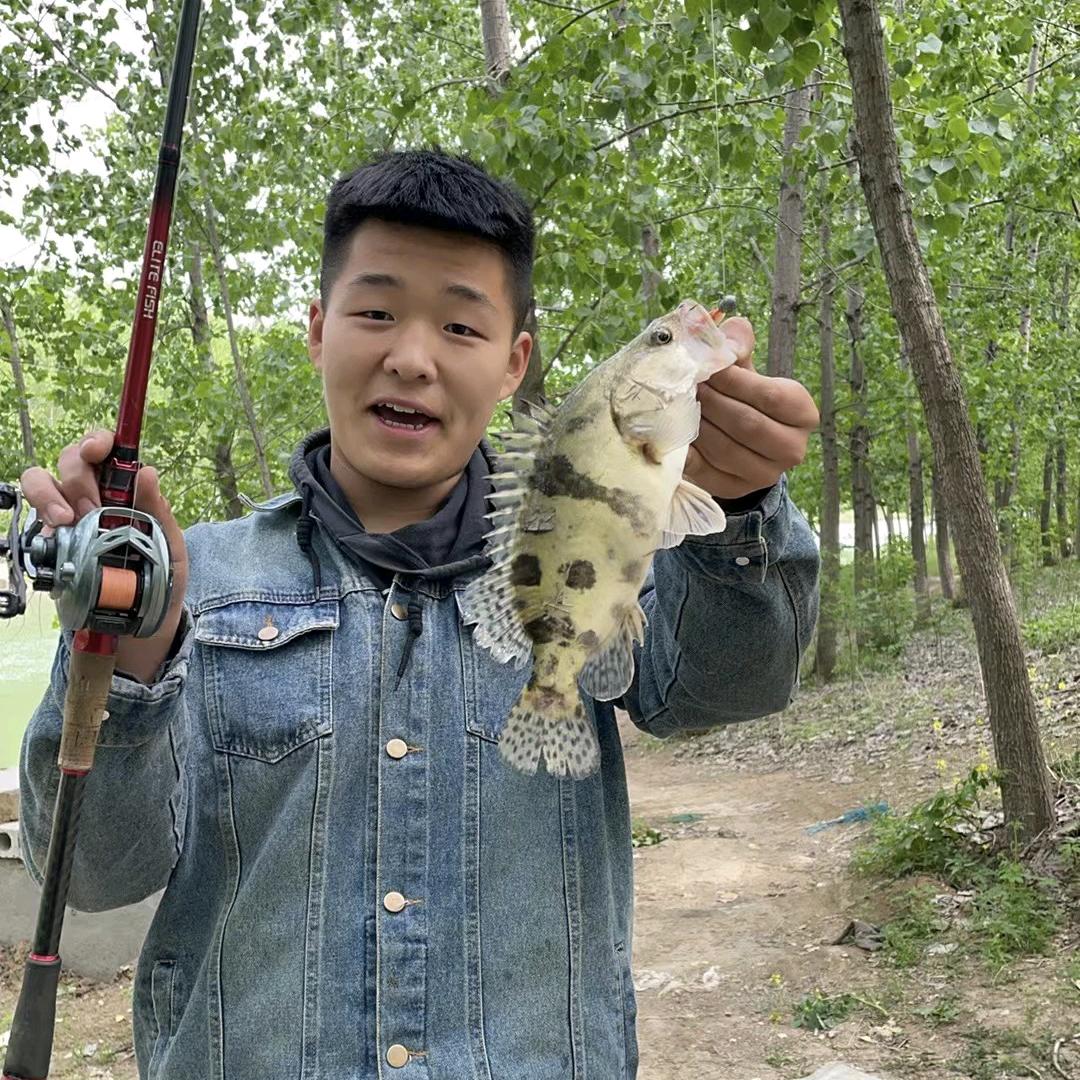 飞猪玩路亚