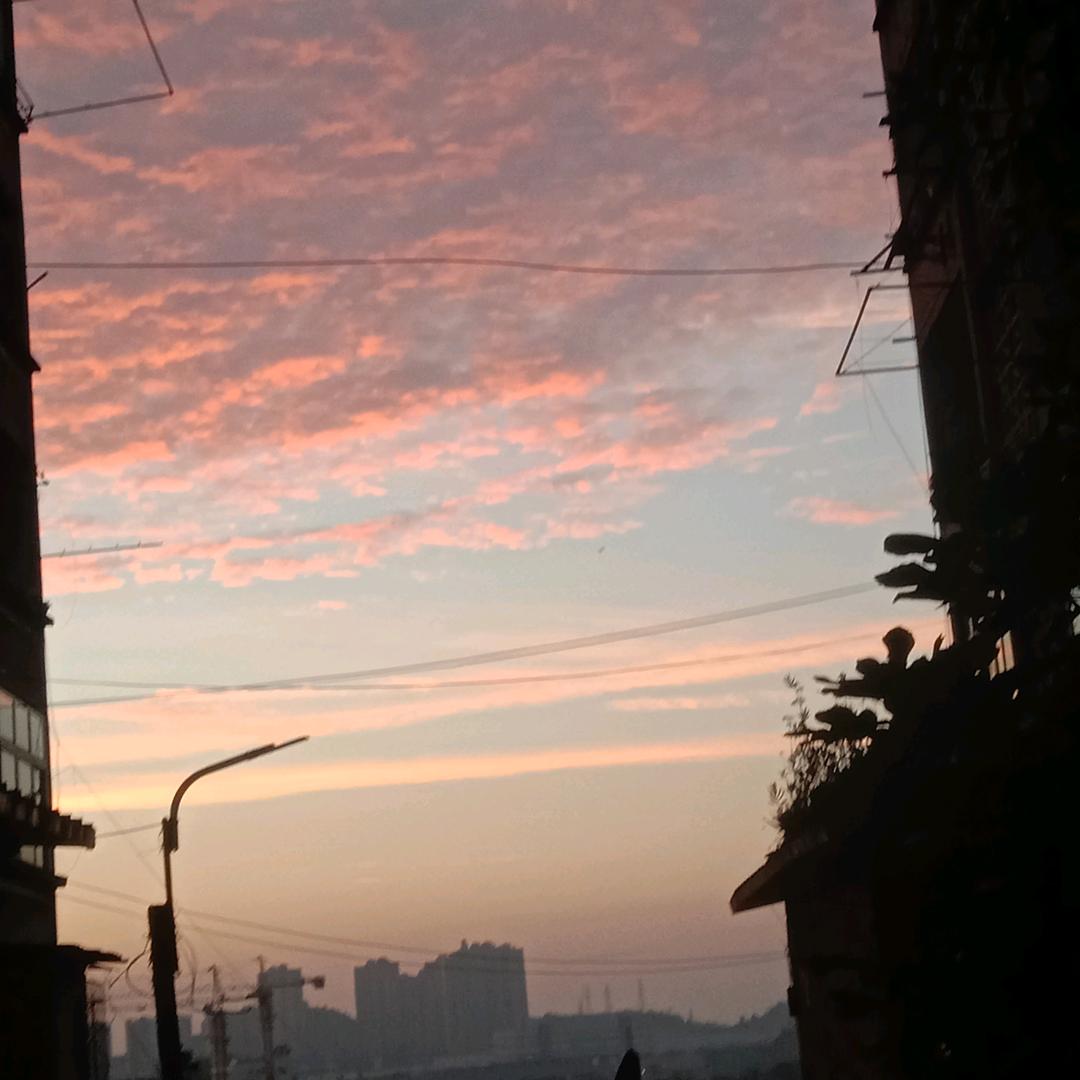 蒋波