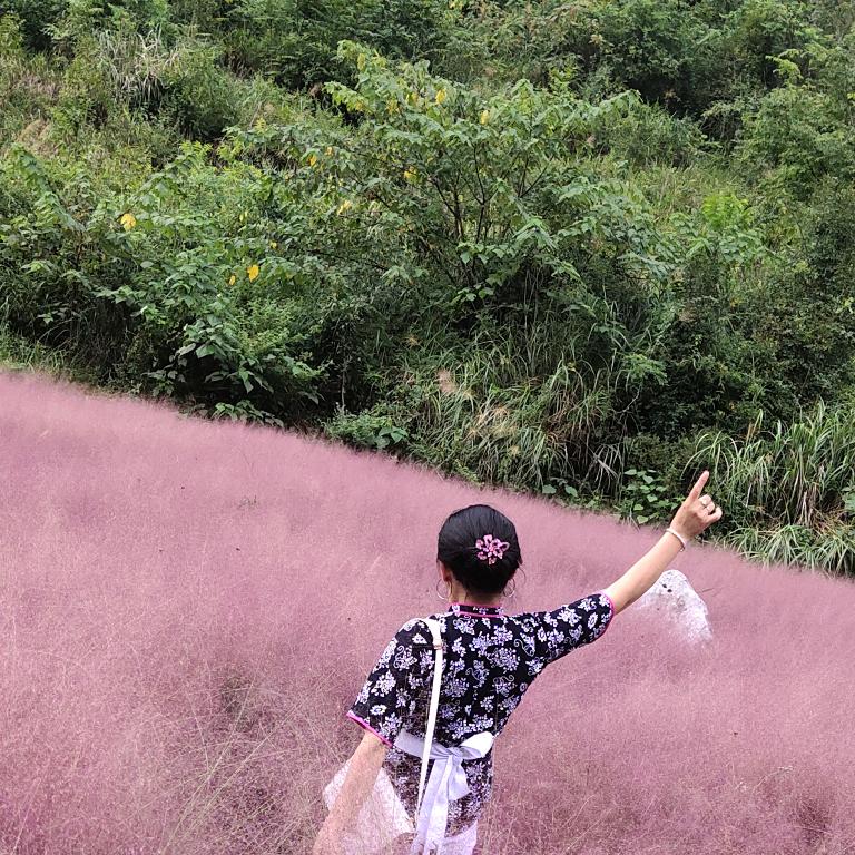 人生就像一场梦